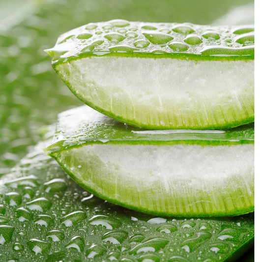 The Efficacy of Aloe Vera Gel in Postprocedural Laser Treatments