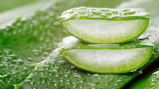 Benefits of using Aloe Vera