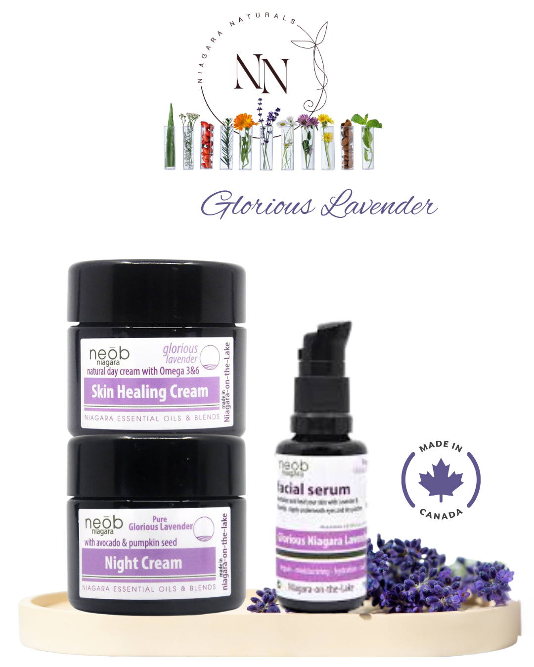 Glorious Lavender Starter Kit