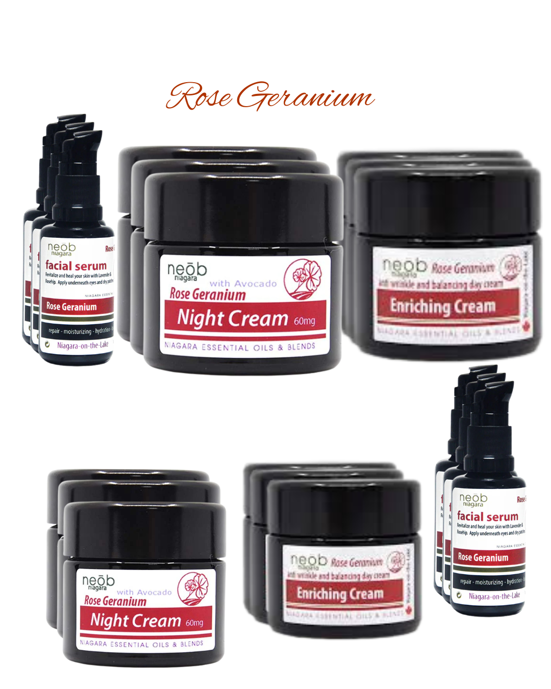 Rose Geranium Starter Collection