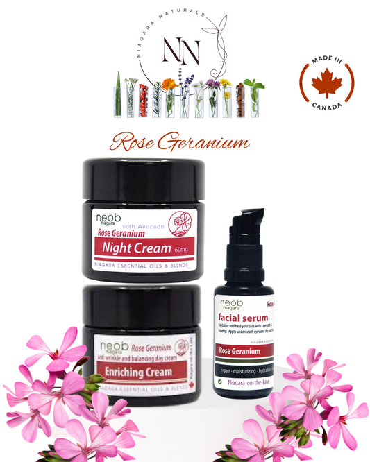 Rose Geranium Starter Collection